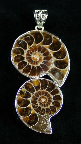 Double Ammonite Pendant #1865